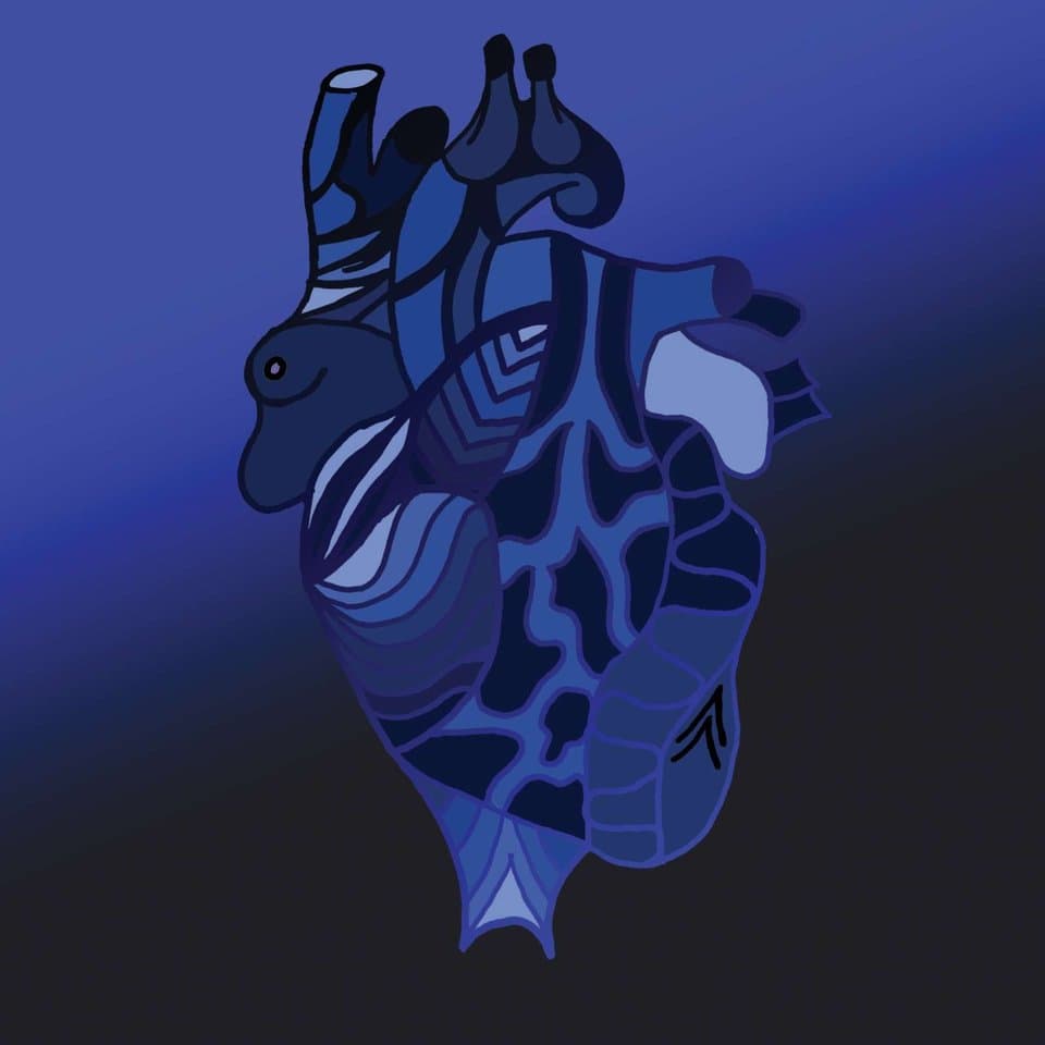 Clarity Capsule cover artwork